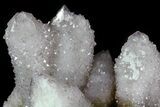 Cactus Quartz (Amethyst) Cluster - South Africa #80013-3